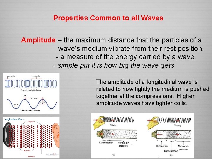 Properties Common to all Waves Amplitude – the maximum distance that the particles of