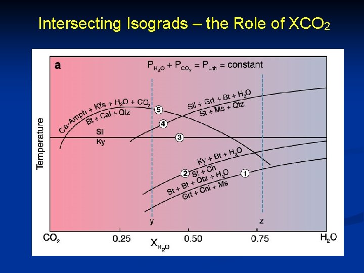 Intersecting Isograds – the Role of XCO 2 