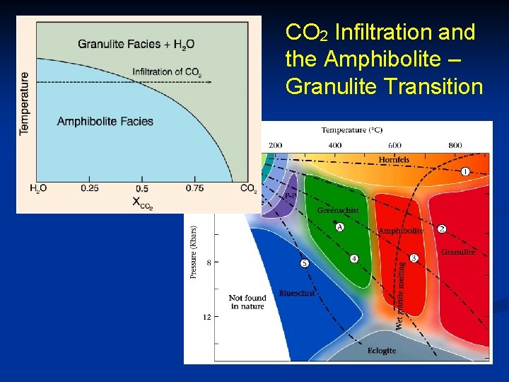 CO 2 Infiltration and the Amphibolite – Granulite Transition 