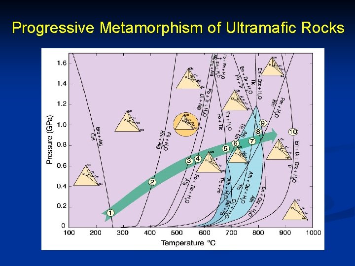 Progressive Metamorphism of Ultramafic Rocks 