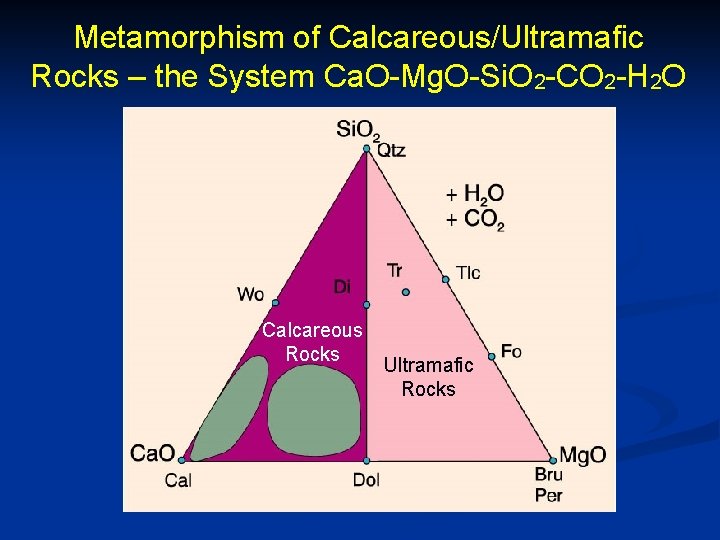 Metamorphism of Calcareous/Ultramafic Rocks – the System Ca. O-Mg. O-Si. O 2 -CO 2