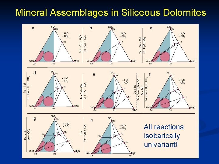 Mineral Assemblages in Siliceous Dolomites All reactions isobarically univariant! 