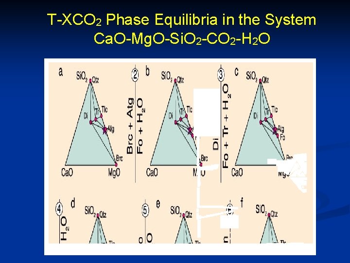 T-XCO 2 Phase Equilibria in the System Ca. O-Mg. O-Si. O 2 -CO 2