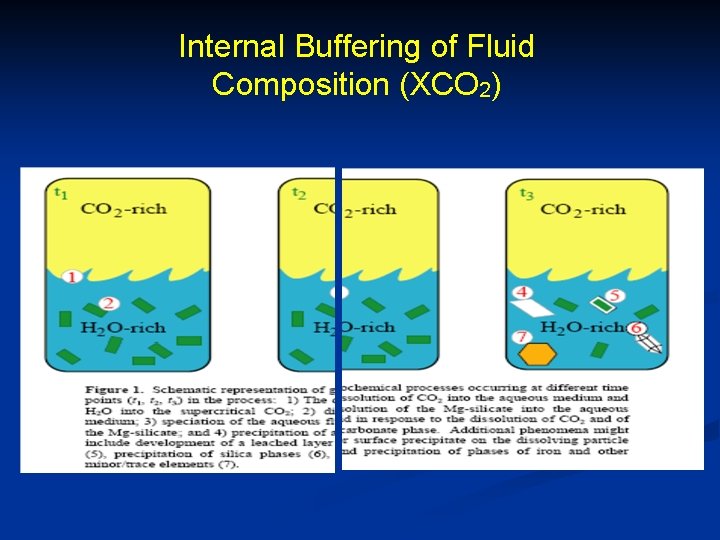 Internal Buffering of Fluid Composition (XCO 2) 
