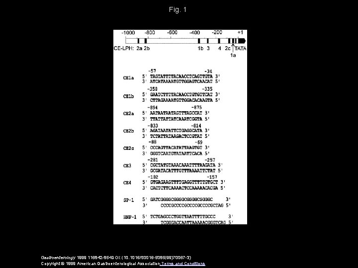 Fig. 1 Gastroenterology 1999 116842 -854 DOI: (10. 1016/S 0016 -5085(99)70067 -3) Copyright ©