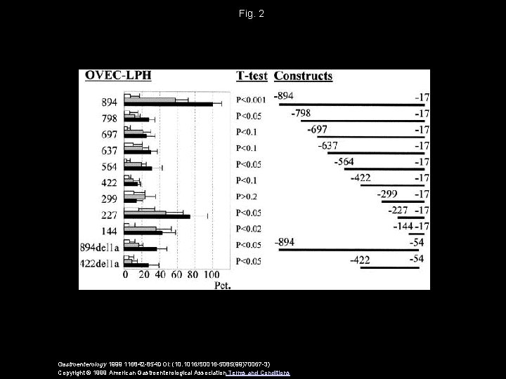 Fig. 2 Gastroenterology 1999 116842 -854 DOI: (10. 1016/S 0016 -5085(99)70067 -3) Copyright ©