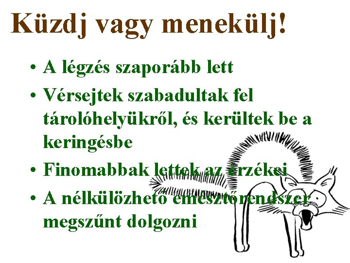 Küzdj vagy menekülj! • A légzés szaporább lett • Vérsejtek szabadultak fel tárolóhelyükről, és