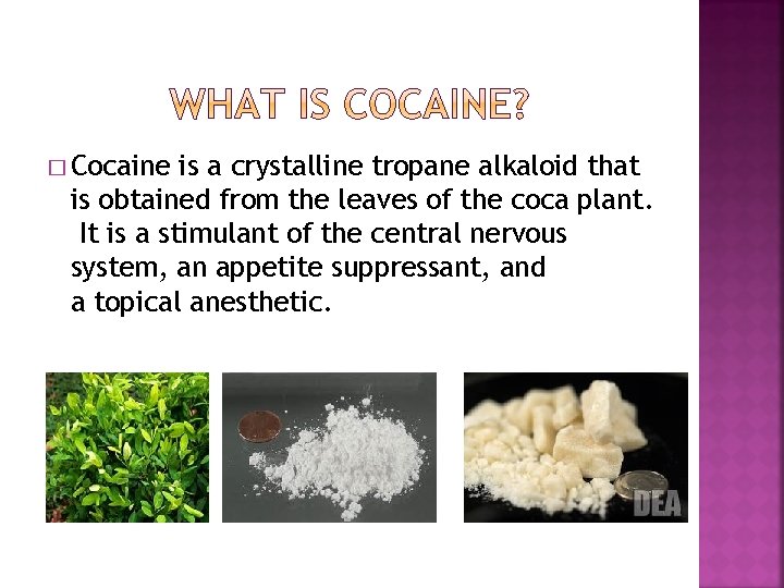 � Cocaine is a crystalline tropane alkaloid that is obtained from the leaves of