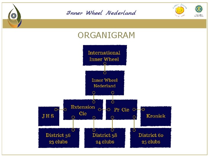 ORGANIGRAM 