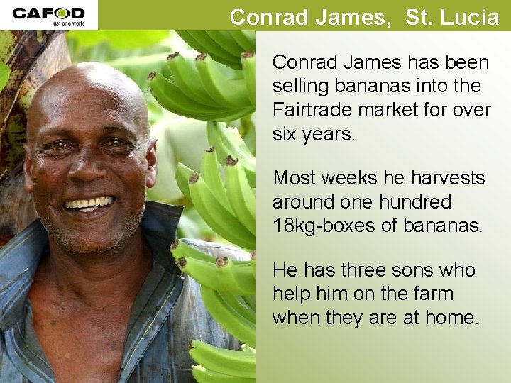Conrad James, St. Lucia Conrad James has been selling bananas into the Fairtrade market Conrad James, St. Lucia Conrad James has been selling bananas into the Fairtrade market