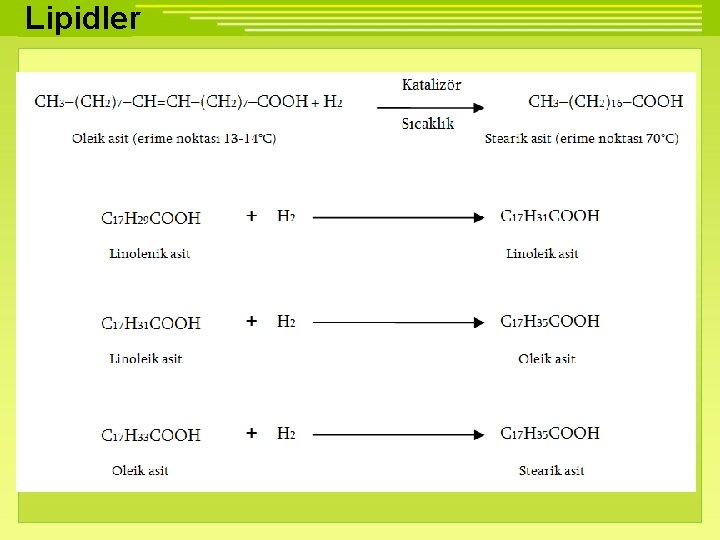 Lipidler 