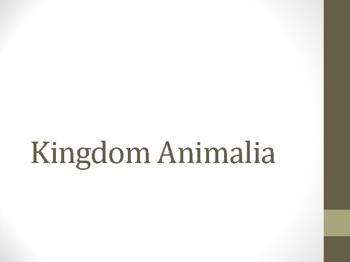 Kingdom Animalia 