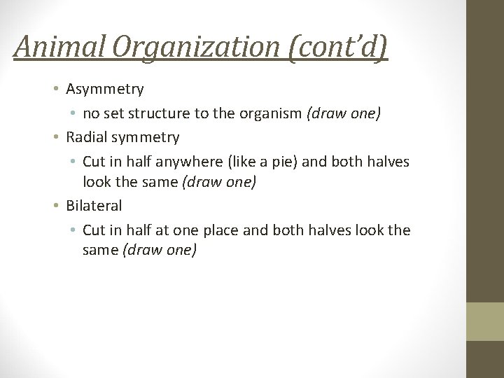 Animal Organization (cont’d) • Asymmetry • no set structure to the organism (draw one)