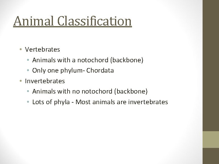 Animal Classification • Vertebrates • Animals with a notochord (backbone) • Only one phylum-