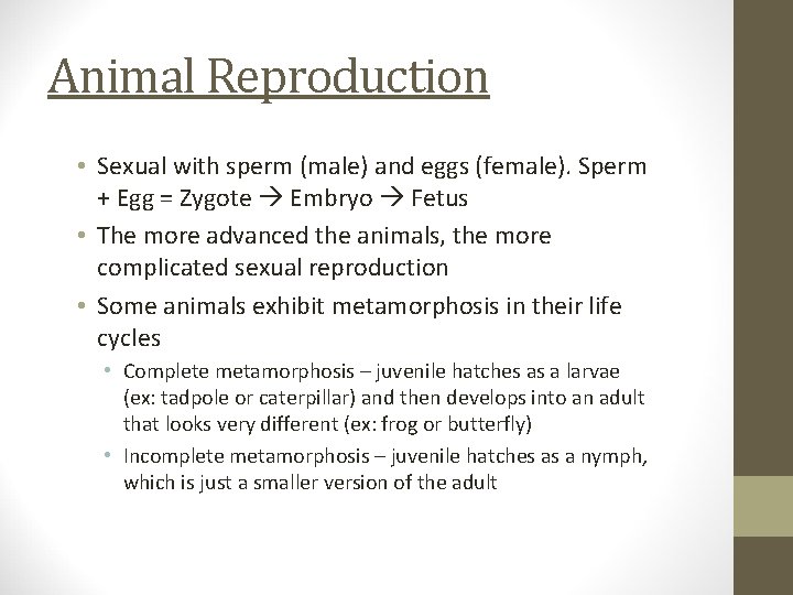 Animal Reproduction • Sexual with sperm (male) and eggs (female). Sperm + Egg =