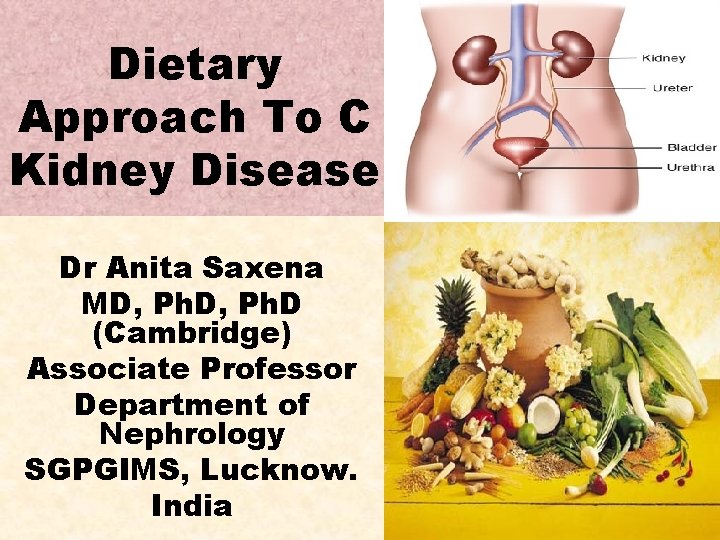 Dietary Approach To C Kidney Disease Dr Anita Saxena MD, Ph. D (Cambridge) Associate