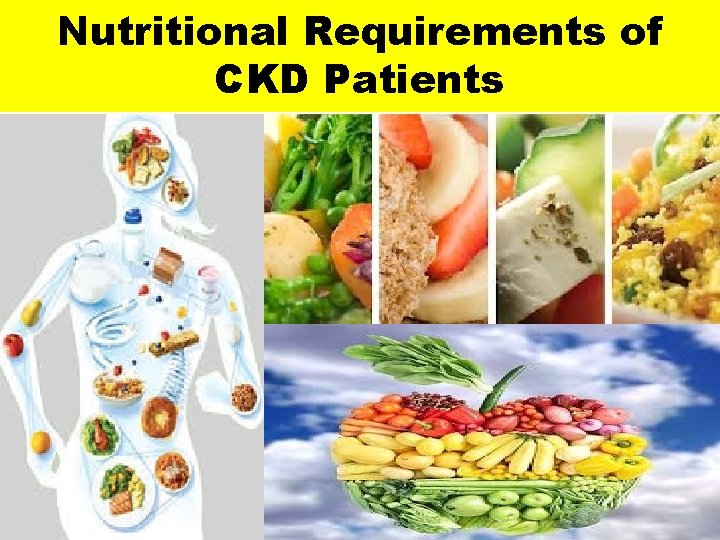 Nutritional Requirements of CKD Patients 