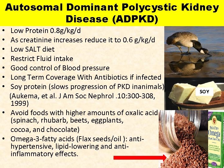 Autosomal Dominant Polycystic Kidney Disease (ADPKD) • Low Protein 0. 8 g/kg/d • As