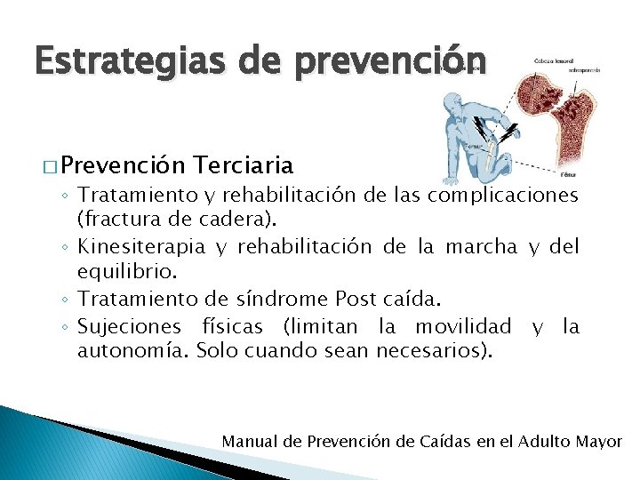 Estrategias de prevención � Prevención Terciaria ◦ Tratamiento y rehabilitación de las complicaciones (fractura Estrategias de prevención � Prevención Terciaria ◦ Tratamiento y rehabilitación de las complicaciones (fractura