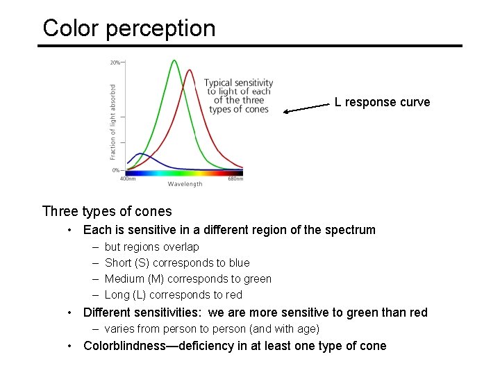 Color perception L response curve Three types of cones • Each is sensitive in Color perception L response curve Three types of cones • Each is sensitive in