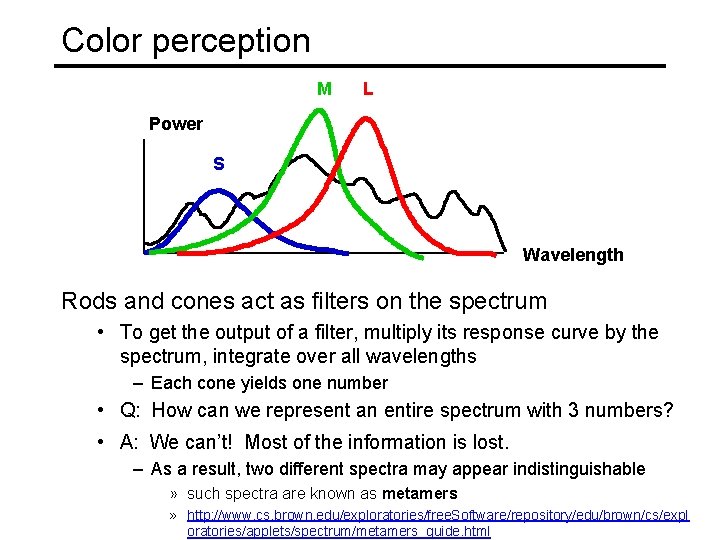 Color perception M L Power S Wavelength Rods and cones act as filters on Color perception M L Power S Wavelength Rods and cones act as filters on