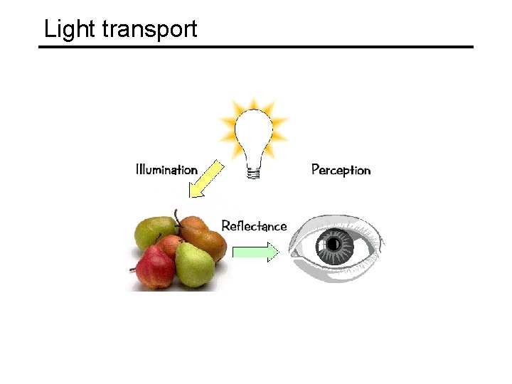 Light transport Light transport