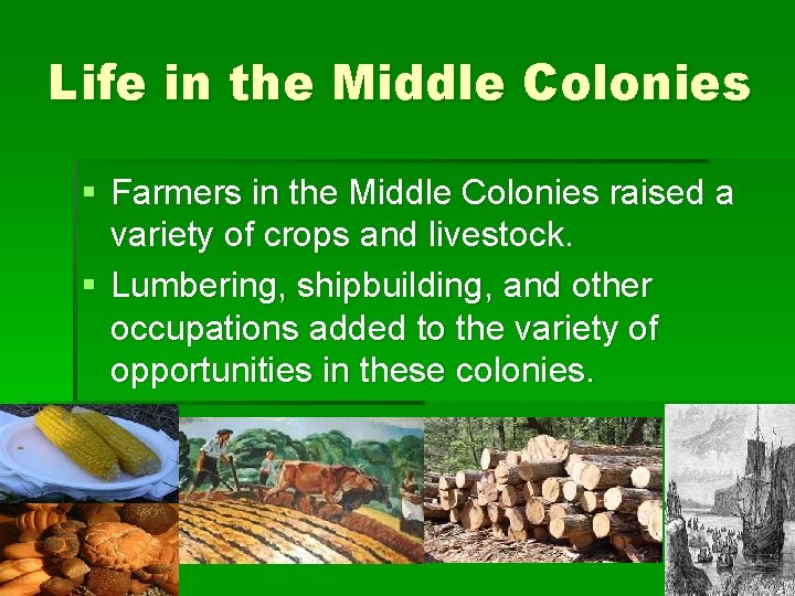 Life in the Middle Colonies § Farmers in the Middle Colonies raised a variety