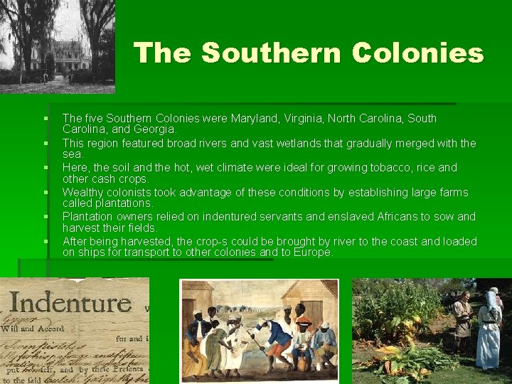The Southern Colonies § § § The five Southern Colonies were Maryland, Virginia, North