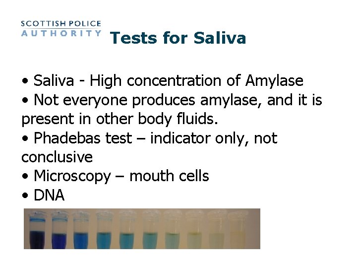 Tests for Saliva • Saliva - High concentration of Amylase • Not everyone produces
