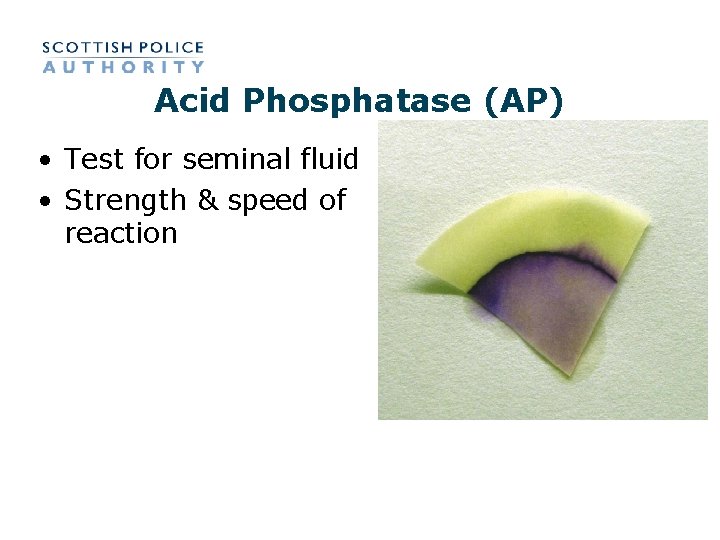 Acid Phosphatase (AP) • Test for seminal fluid • Strength & speed of reaction