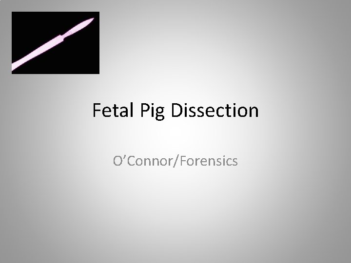 Fetal Pig Dissection O’Connor/Forensics 