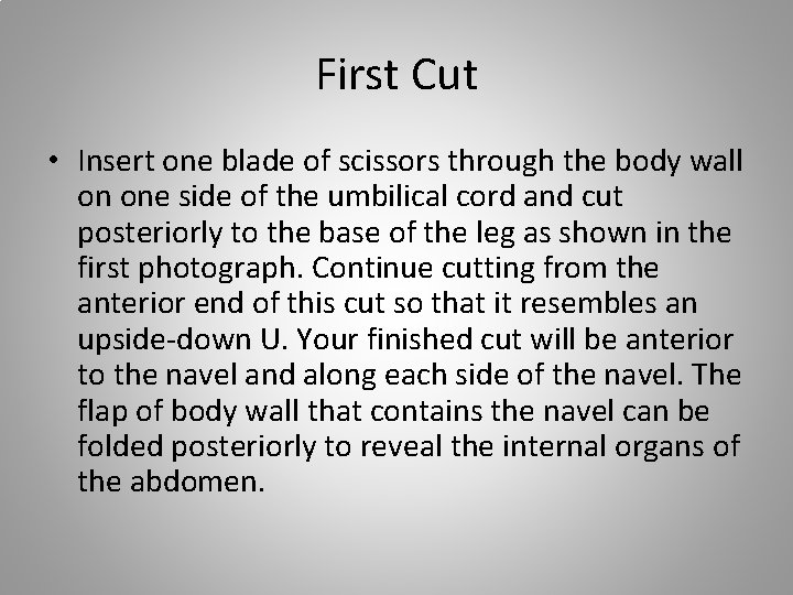 First Cut • Insert one blade of scissors through the body wall on one