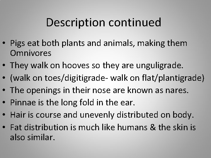 Description continued • Pigs eat both plants and animals, making them Omnivores • They