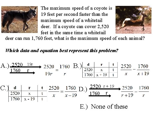 The maximum speed of a coyote is 19 feet per second faster than the