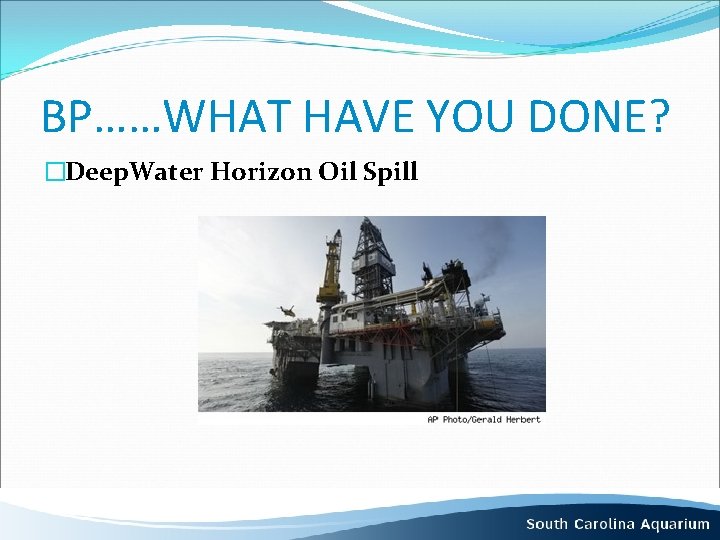 BP……WHAT HAVE YOU DONE? �Deep. Water Horizon Oil Spill 