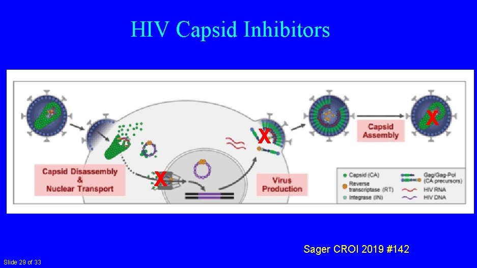 HIV Capsid Inhibitors X X X Sager CROI 2019 #142 Slide 29 of 33