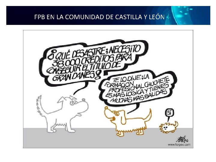 FPB EN LA COMUNIDAD DE CASTILLA Y LEÓN 