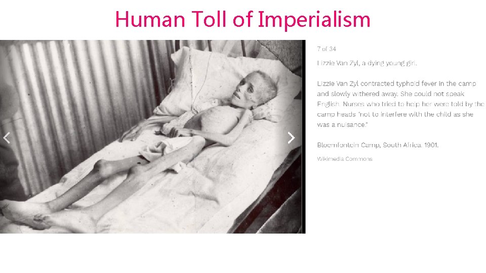 Human Toll of Imperialism 