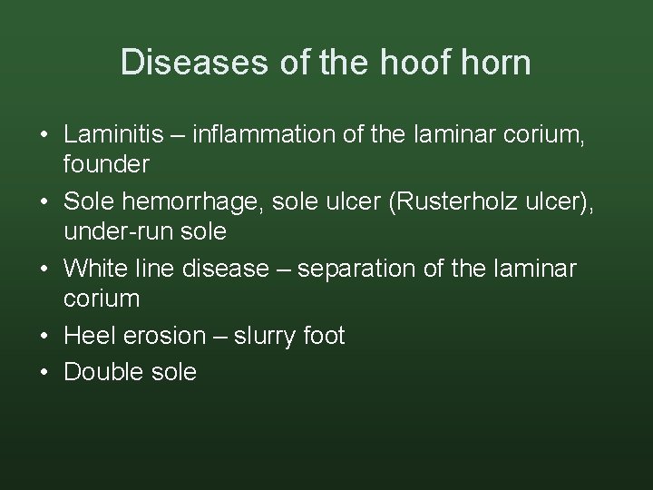 Diseases of the hoof horn • Laminitis – inflammation of the laminar corium, founder