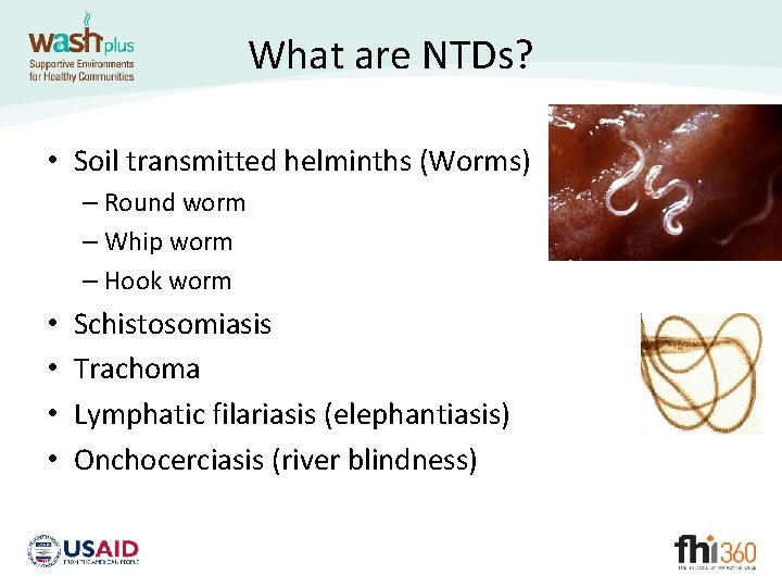 What are NTDs? • Soil transmitted helminths (Worms) – Round worm – Whip worm