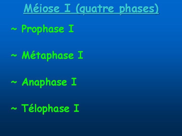 Méiose I (quatre phases) ~ Prophase I ~ Métaphase I ~ Anaphase I ~