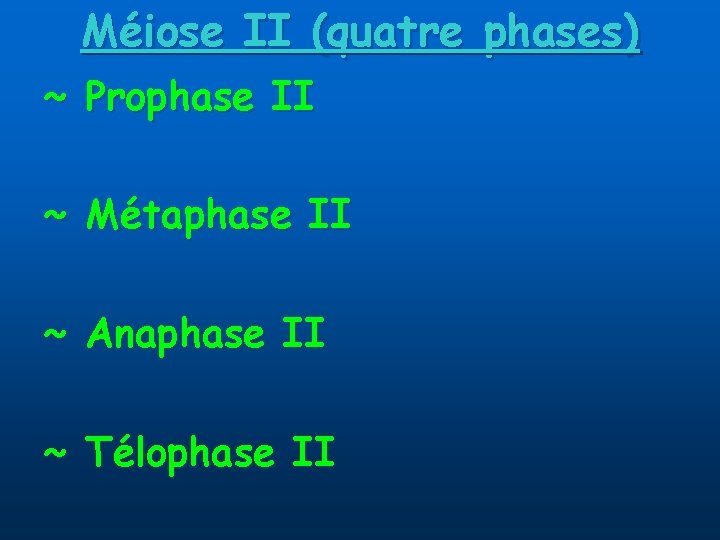 Méiose II (quatre phases) ~ Prophase II ~ Métaphase II ~ Anaphase II ~