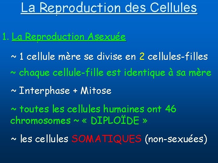 La Reproduction des Cellules 1. La Reproduction Asexuée ~ 1 cellule mère se divise