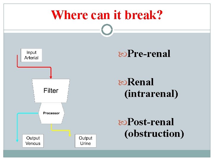 Where can it break? Pre-renal Renal (intrarenal) Post-renal (obstruction) 