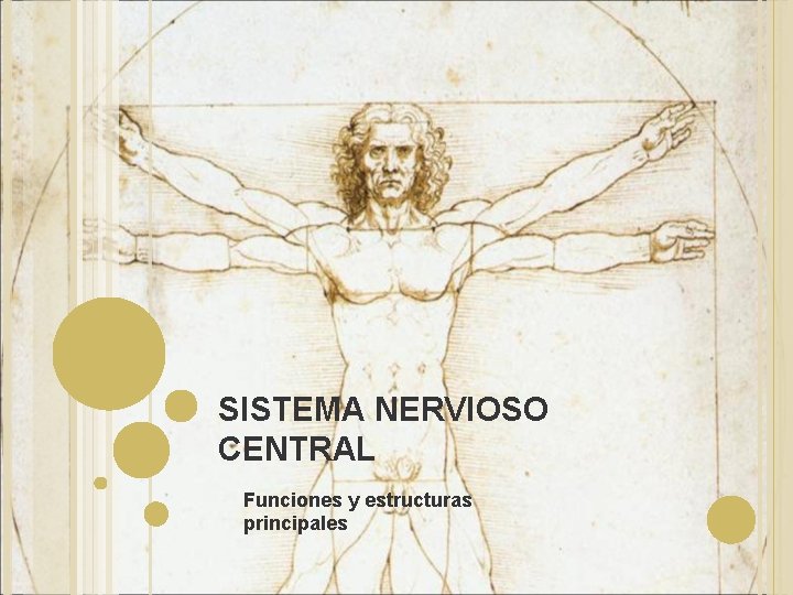 SISTEMA NERVIOSO CENTRAL Funciones y estructuras principales SISTEMA NERVIOSO CENTRAL Funciones y estructuras principales