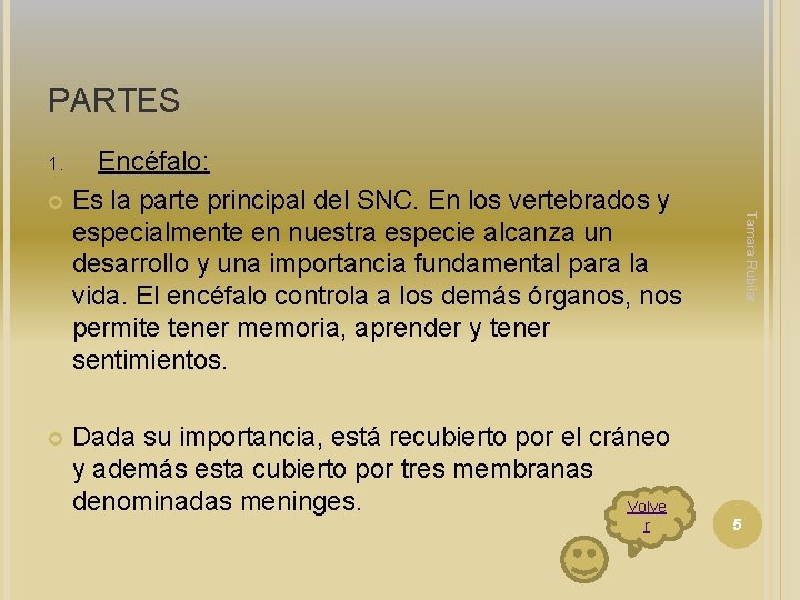 PARTES Encéfalo: Es la parte principal del SNC. En los vertebrados y especialmente en PARTES Encéfalo: Es la parte principal del SNC. En los vertebrados y especialmente en