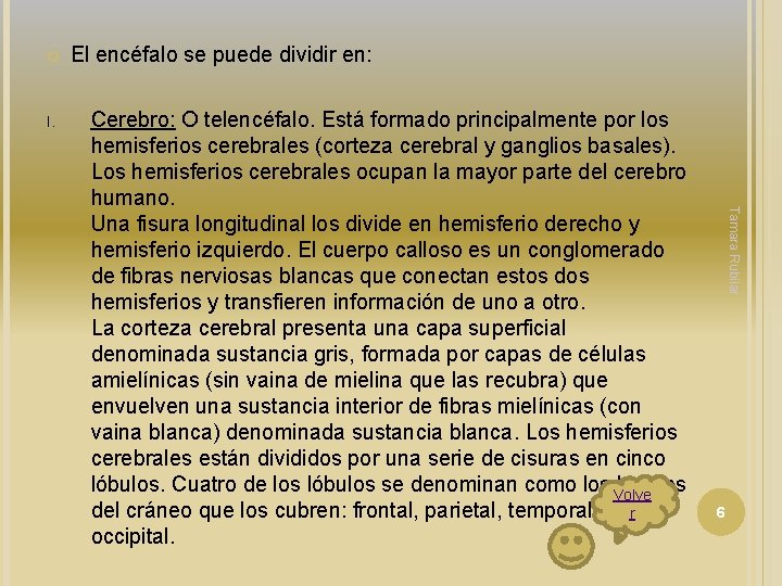 I. El encéfalo se puede dividir en: Tamara Rubilar Cerebro: O telencéfalo. Está I. El encéfalo se puede dividir en: Tamara Rubilar Cerebro: O telencéfalo. Está