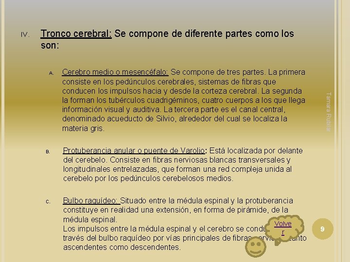IV. Tronco cerebral: Se compone de diferente partes como los son: A. C. Tamara IV. Tronco cerebral: Se compone de diferente partes como los son: A. C. Tamara