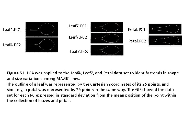 Leaf 4. PC 1 Leaf 7. PC 2 Leaf 4. PC 2 Petal. PC