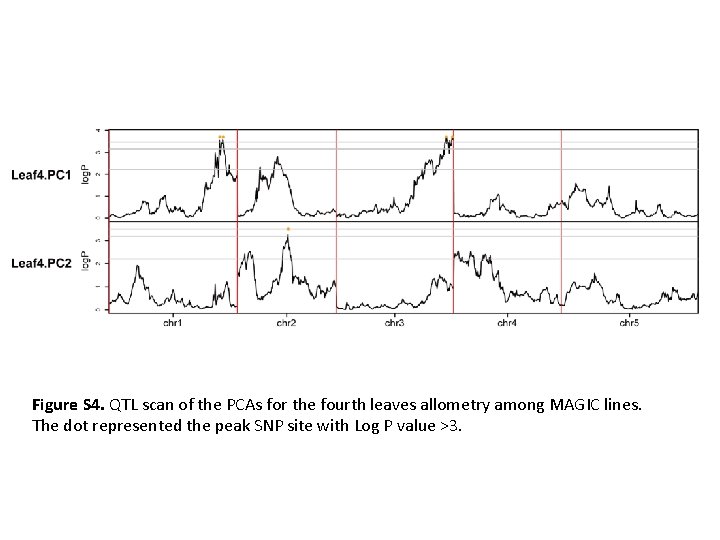 Figure S 4. QTL scan of the PCAs for the fourth leaves allometry among